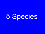 Foto Galerie/AAA/Species_05.png.jpg
